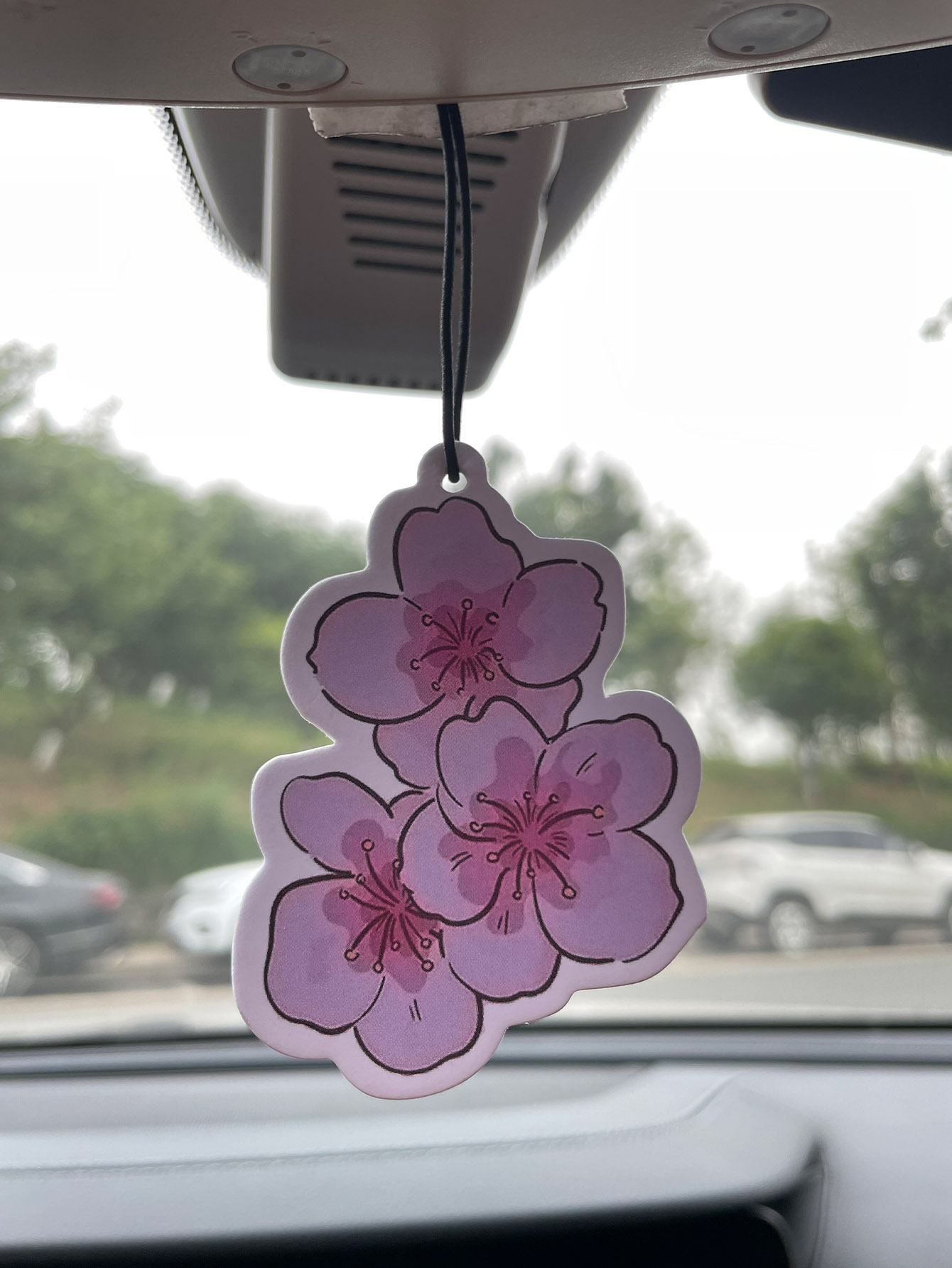 Home Fragrance Use - Sakura/Frezya Taze Kokulu Beş Yıldızlı Nötr