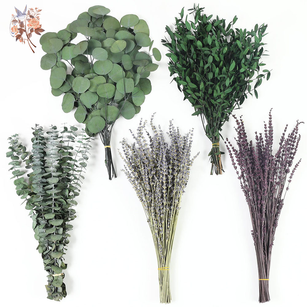 110 Adet Karışık Kurutulmuş Ok - Fragrance Your Home incelemesi ve fiyatı