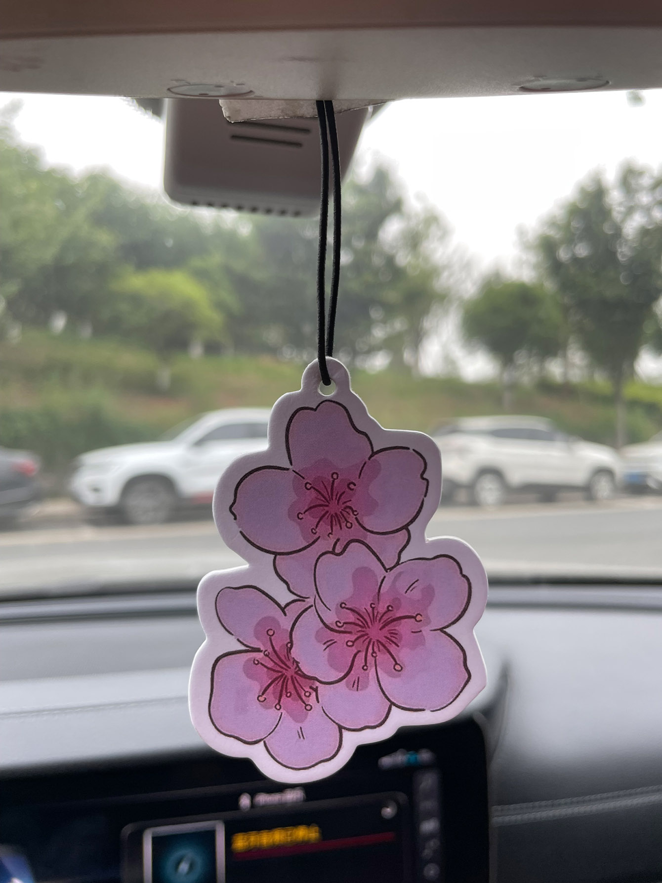 Sakura/Frezya Taze Kokulu Beş  - Home Fragrance Use incelemesi ve fiyatı